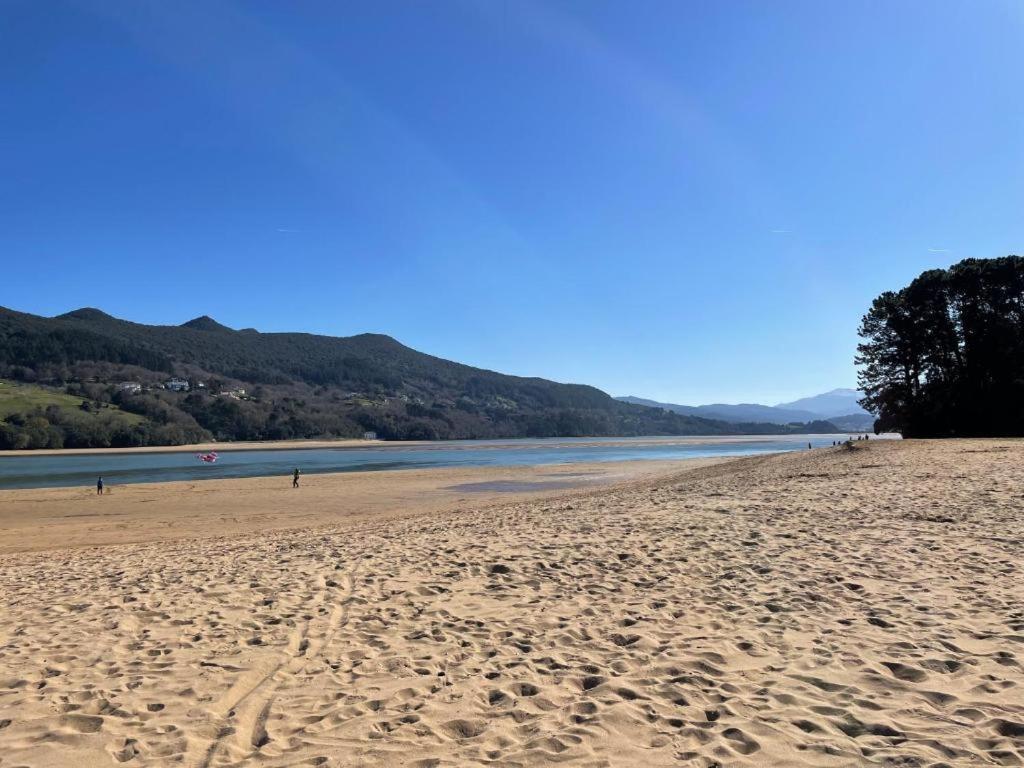 Urdaibai Busturia